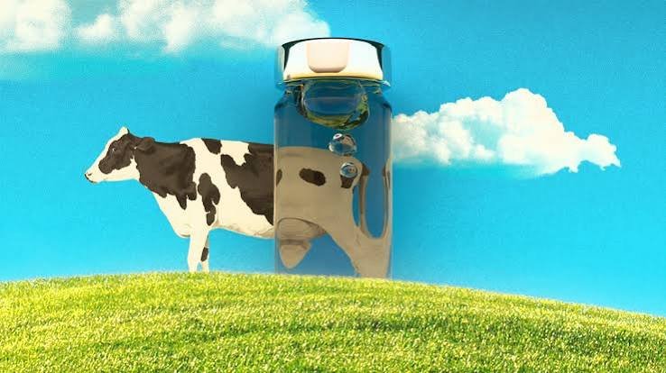 ArkeaBio Raises $15 Million to Advance Livestock Methane-Reduction Vaccine