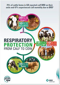 MSD Animal Health World Buiatrics Congress