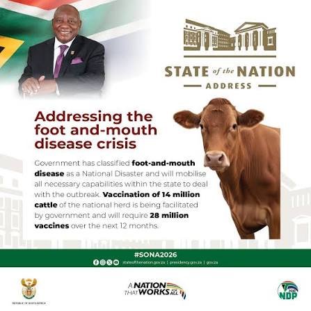 FMD Disease Outbreaks in South Africa 2026