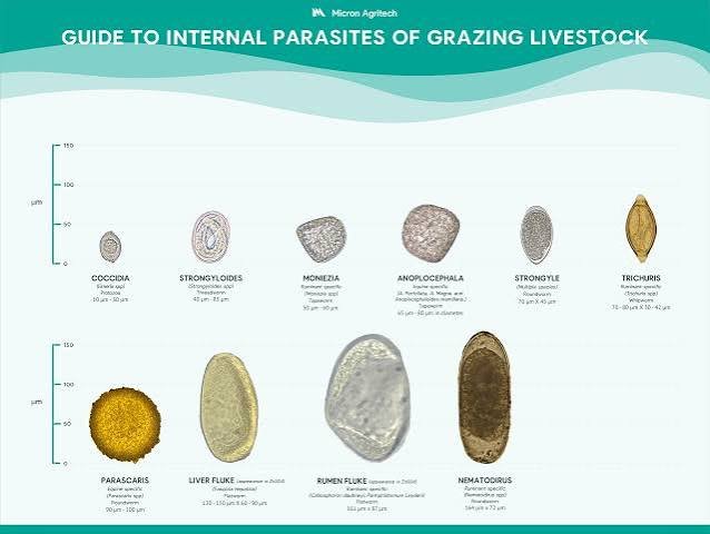 Micron Agritech Milestone