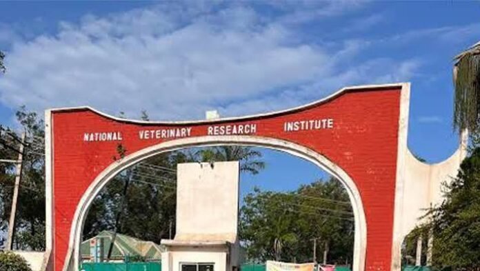 Nigeria veterinary vaccine facility