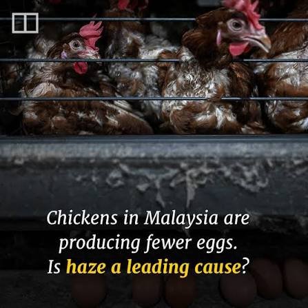 Malaysia Livestock Sector Faces Rising Heat, Haze and Water Stress