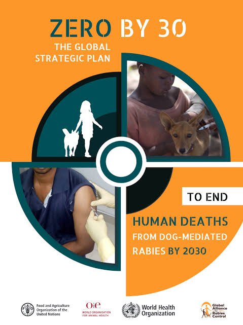 Global Rabies Programme Focuses on Implementation of “Zero by 30”