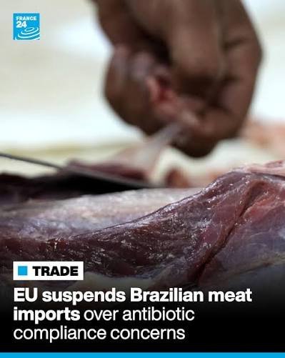 EU Suspends Brazil Meat Imports over Antimicrobial Residues Concerns