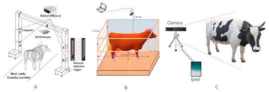 Automated Surveillance Architecture