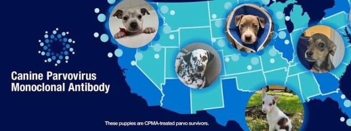 Elanco's Trutect Gains Full USDA Approval for Parvovirus