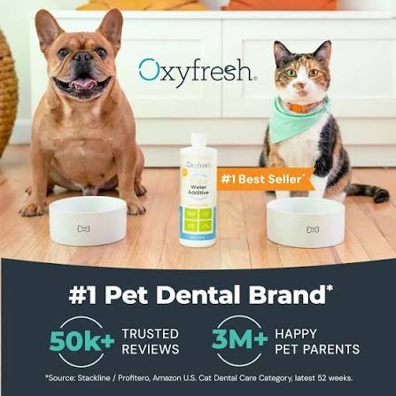Oxyfresh Launches Triple-Biotic Dental Powder for Dogs and Cats