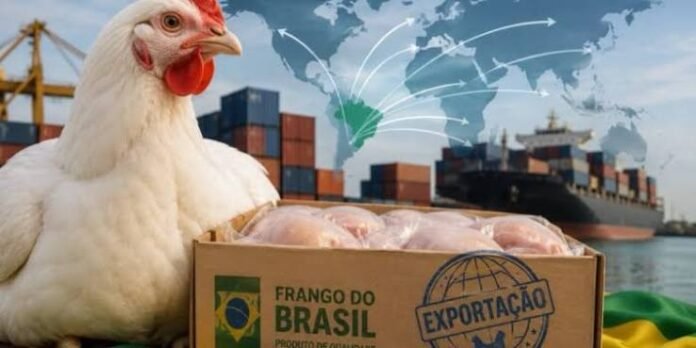 https://datamarnews.com/noticias/eu-signals-it-will-resume-chicken-purchases-ministry-says/
