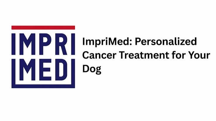 ImpriMed Raises $10 Million to Advance AI-Driven Veterinary Precision Oncology