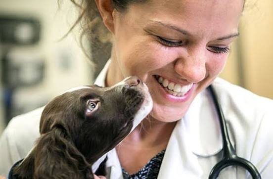 FDA's MUMS Programme Continues to Support Development of Underserved Veterinary Drugs