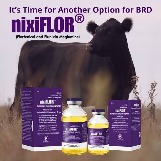 Parnell's nixiFLOR Expands Generic Competition in Bovine Respiratory Disease