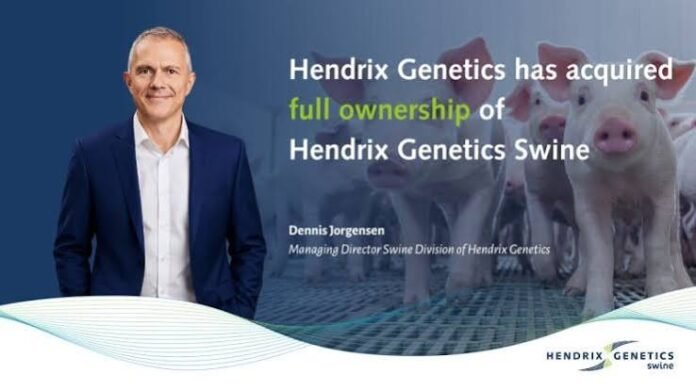 Hendrix Genetics Consolidates Swine Business Under Full Ownership
