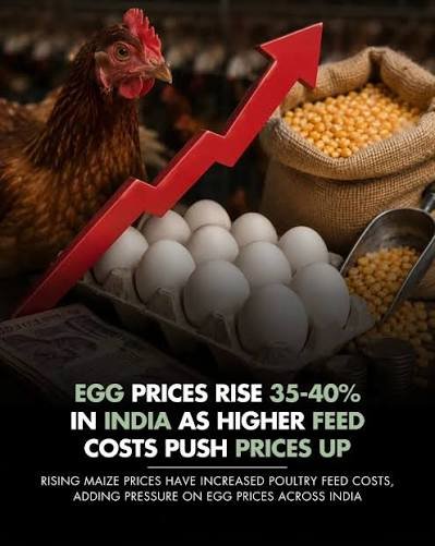 Animal Feed Inflation Behind Recent Farm Gate Price Hikes in Milk and Chicken Eggs