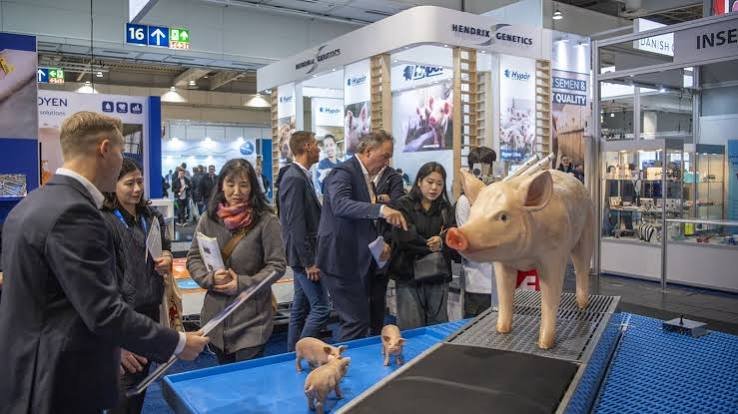 pig health research, swine disease research, antimicrobial resistance pigs, swine biosecurity