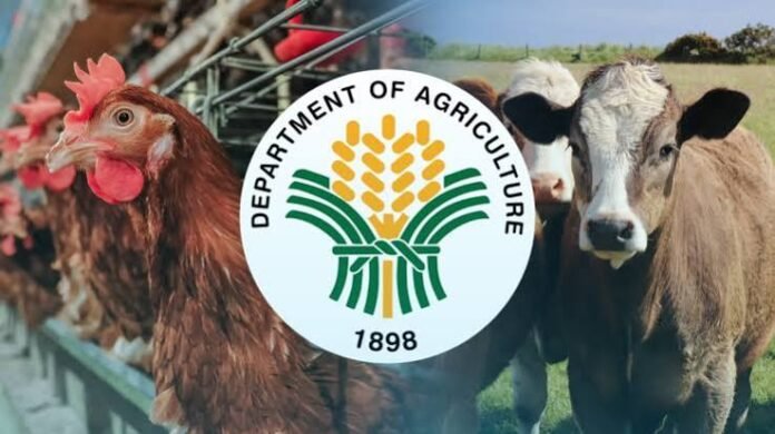 Philippines Imposes Import Ban on UK Beef Following Mad Cow Disease Outbreak