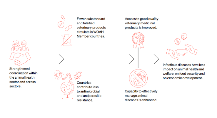 WOAH Moves to Strengthen Global Controls on Substandard, Spurious Veterinary Products