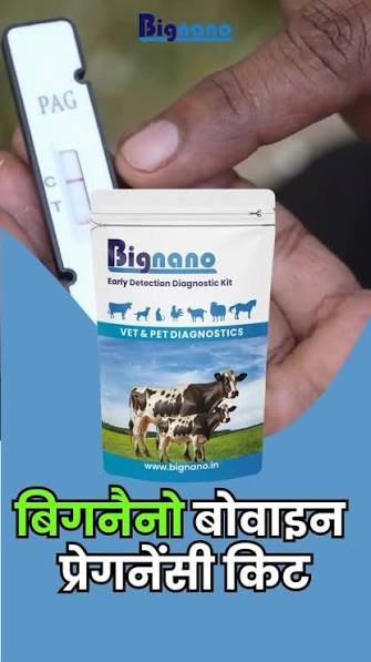 livestock pregnancy test India