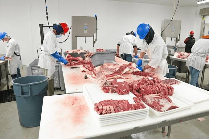 Olymel Completes C$142 Million Integrated Pork and Poultry Plant in Quebec