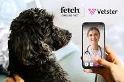 Fetch Pet Insurance Integrates 24/7 Veterinary Telehealth