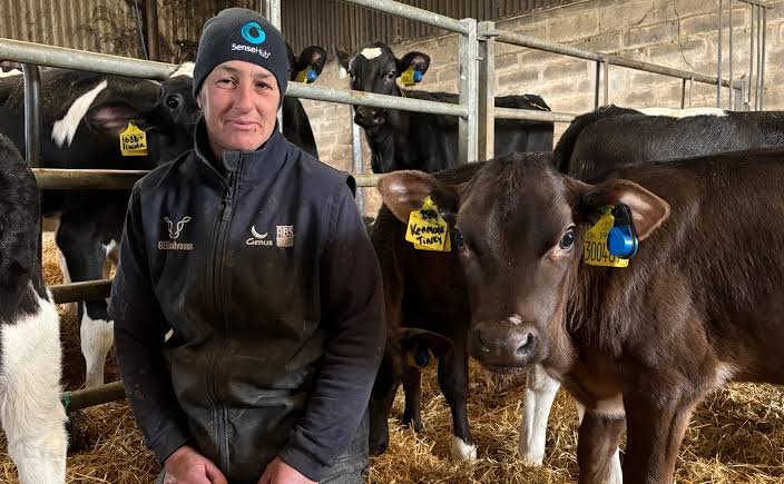 msd-animal-health-sensehub-dairy-monitoring