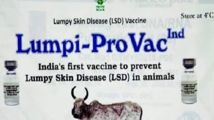 Lumpy Skin Disease Homologous Vaccine