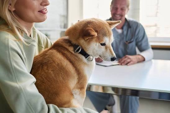 Veterinary Affordability is a Major Industry Issue