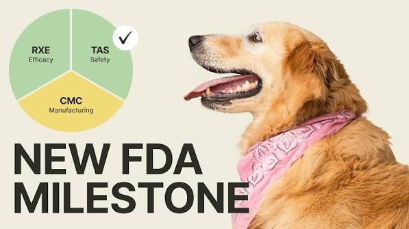 Loyal receives a third FDA efficacy acceptance