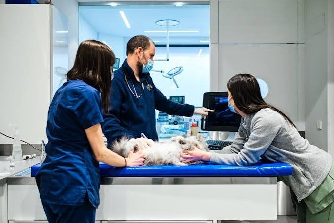 ImpriMed Raises $10 Million to Advance AI-Driven Veterinary Precision Oncology