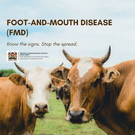 FMD Disease Outbreaks in South Africa 2026