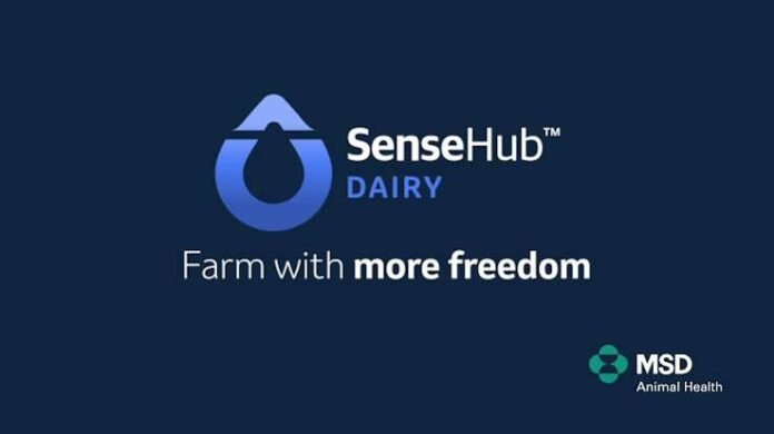 msd-animal-health-sensehub-dairy-monitoring