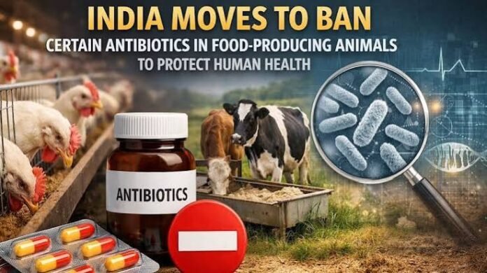 India Proposes Ban on Two Antimicrobial Groups for Animal Use