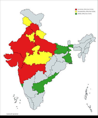 Lumpy Skin Disease Risk Returns in 2026 Across India