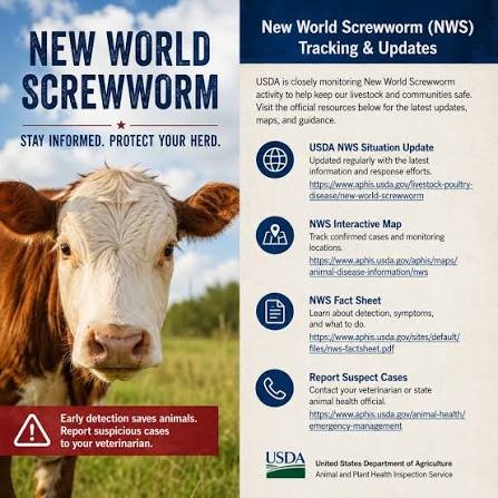 USDA APHIS Holds September 9 Stakeholder Meeting on New World Screwworm Response