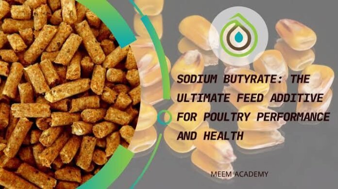 Sodium Butyrate Feed Additive Market