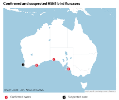 H5N1 OUTBREAKS in Australia