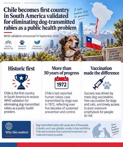 Chile Becomes First South American Country Validated by WHO for Eliminating Dog-Transmitted Rabies