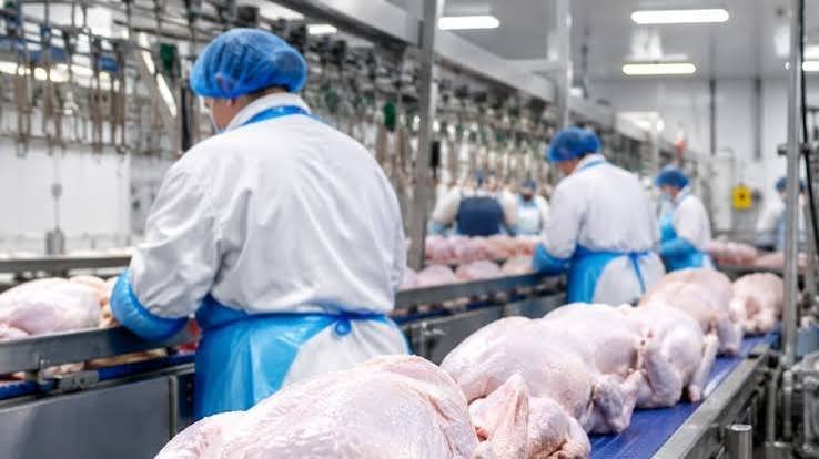 eu-audit-thailand-poultry-export-controls