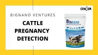 livestock pregnancy test India