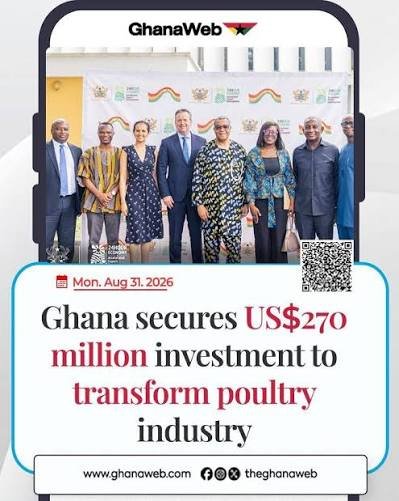 Ghana Signs US$270 Million Poultry Transformation Deal to Cut Chicken Imports