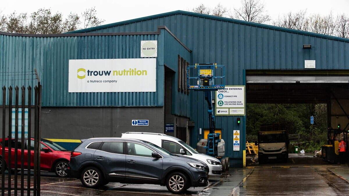 Trouw Nutrition Belfast plant closure