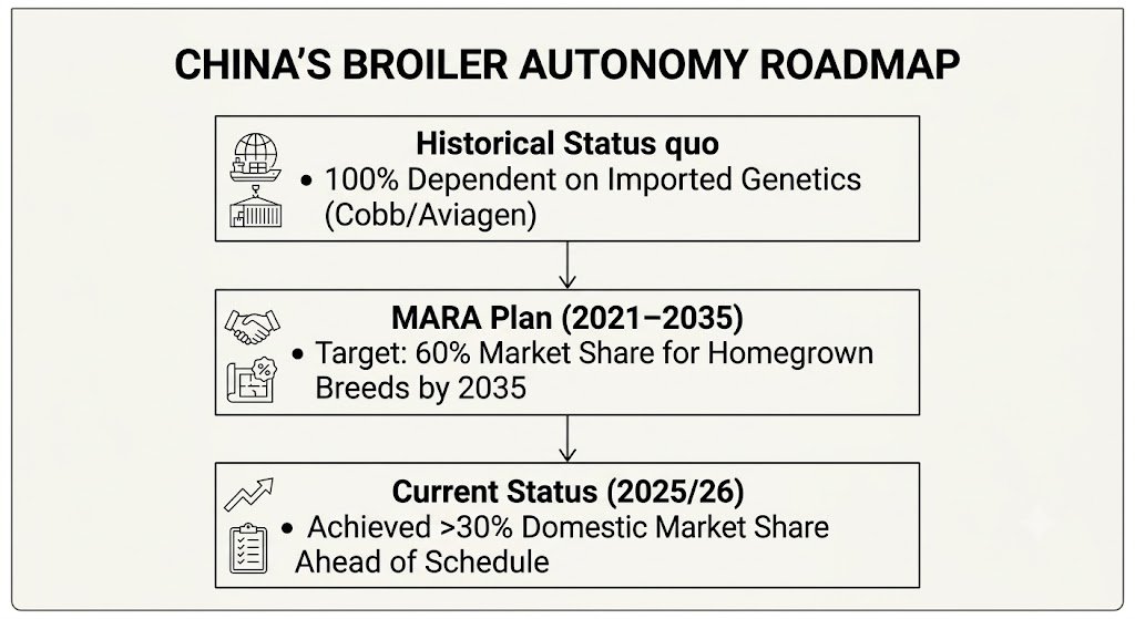 China's Plans for Broiler Genetics AUTONOMY