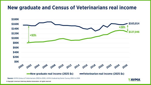 veterinary school debt