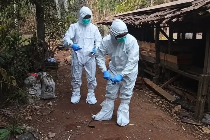 Indonesia Intensifies Anthrax Control