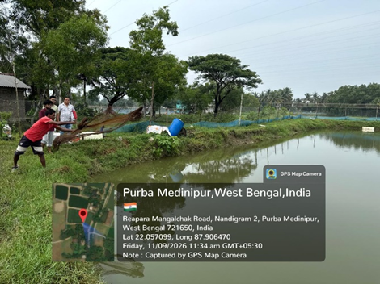 shrimp disease surveillance West Bengal