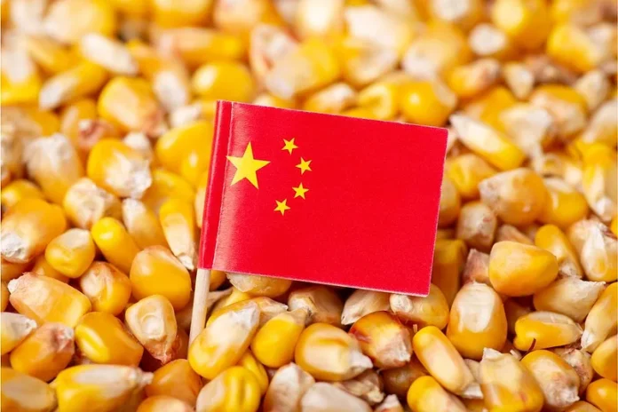 China animal feed market 2026