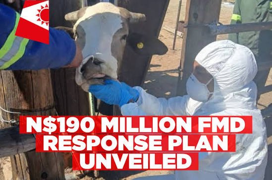Namibia FMD Restrictions Hit Cattle Trade