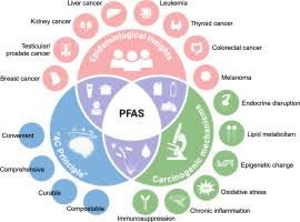 PFAS contamination in eggs in France