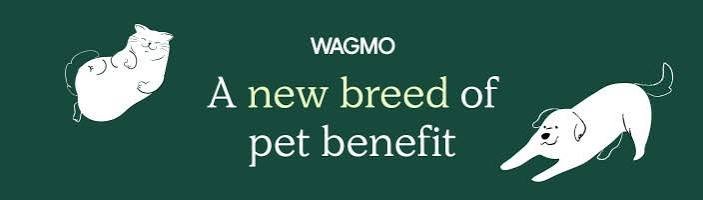 Wagmo Wonderdog partnershi
