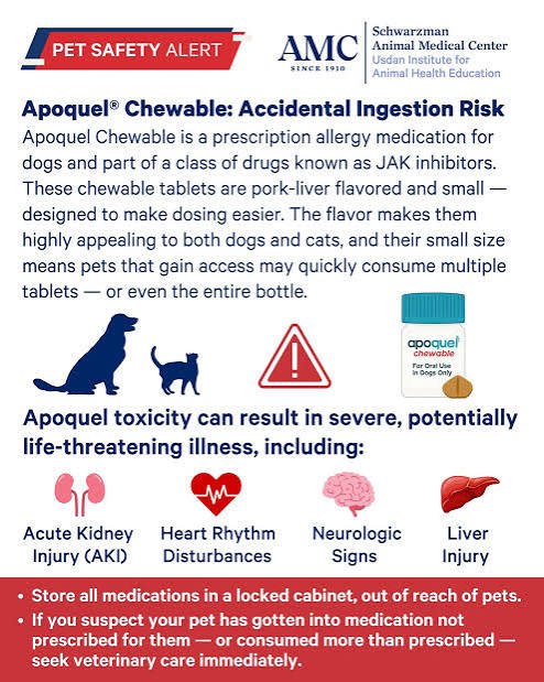 apoquel accidental ingestion safety alert