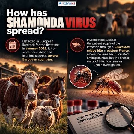 Shamonda virus Europe 2026